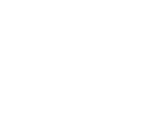 LAWS logo